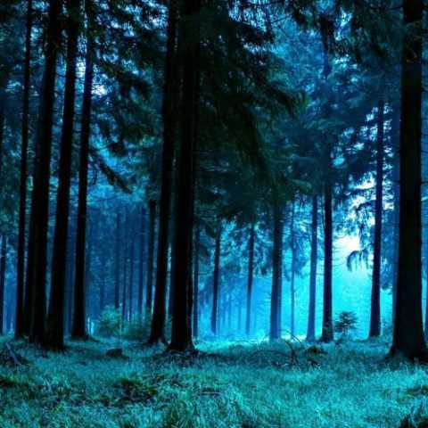 دانلود آهنگ زندگی معین 